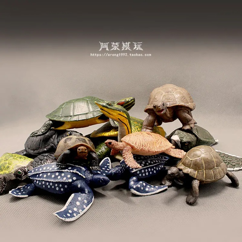 Ocean Aquarium - Leatherback Tortuga de orejas rojas Tortuga