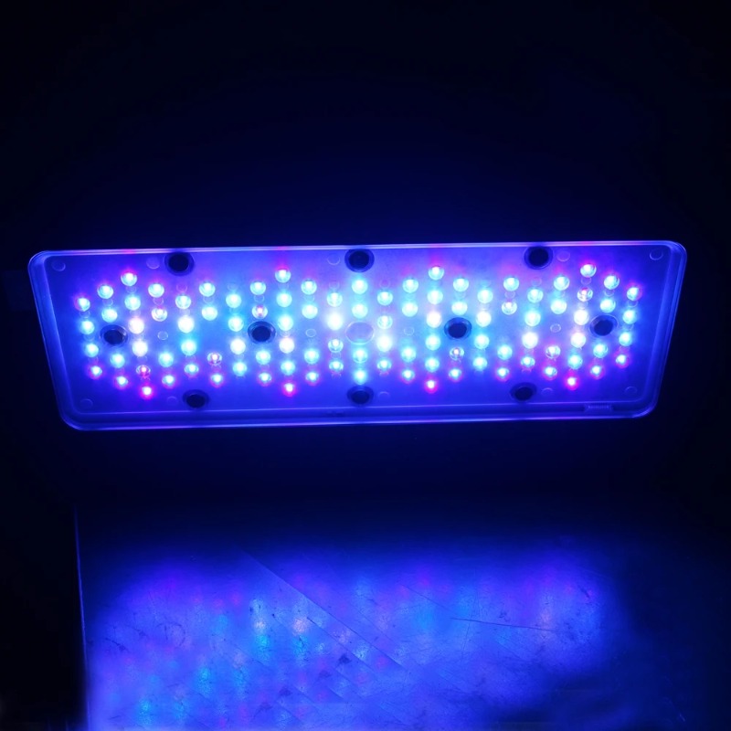 Luces LED para Arrecifes de Co - Reef Lighting reseña y precio