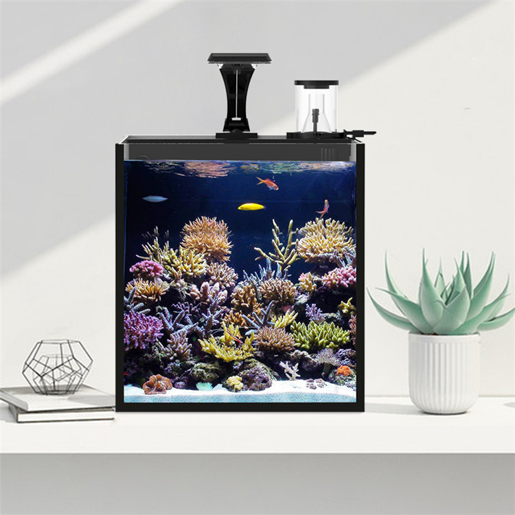 Skynuo Ultra Clear Glass Mini  - Marine Aquarium Cube reseña y precio