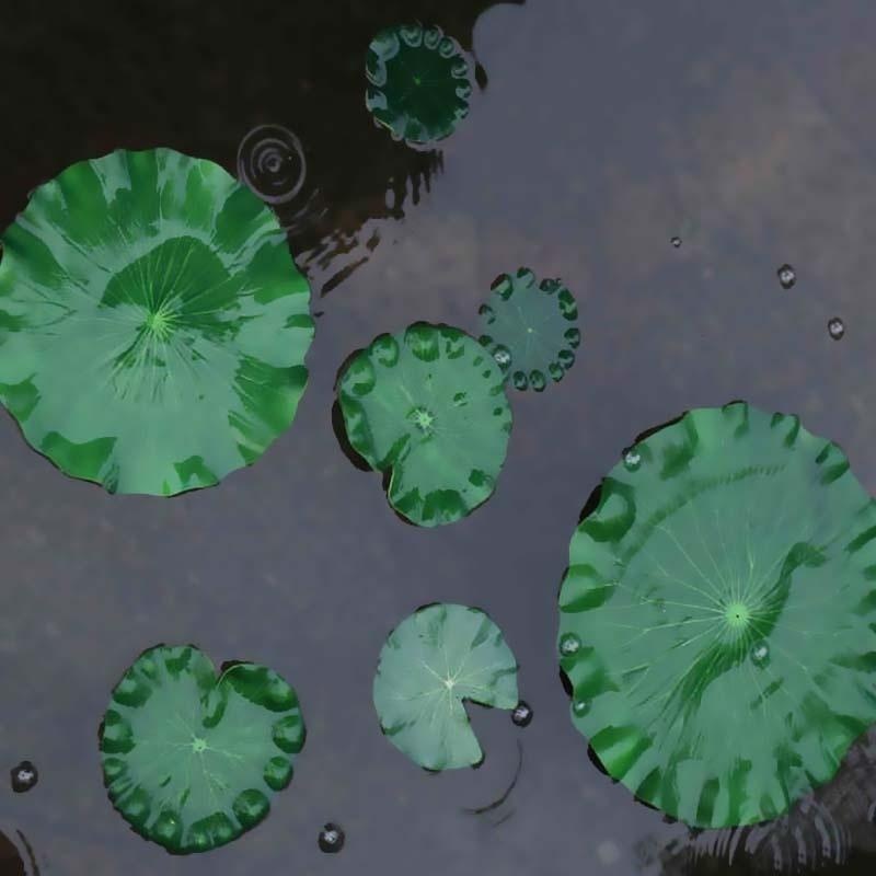 Hojas de Loto Artificiales 202 - Marine Fish Tank reseña y precio