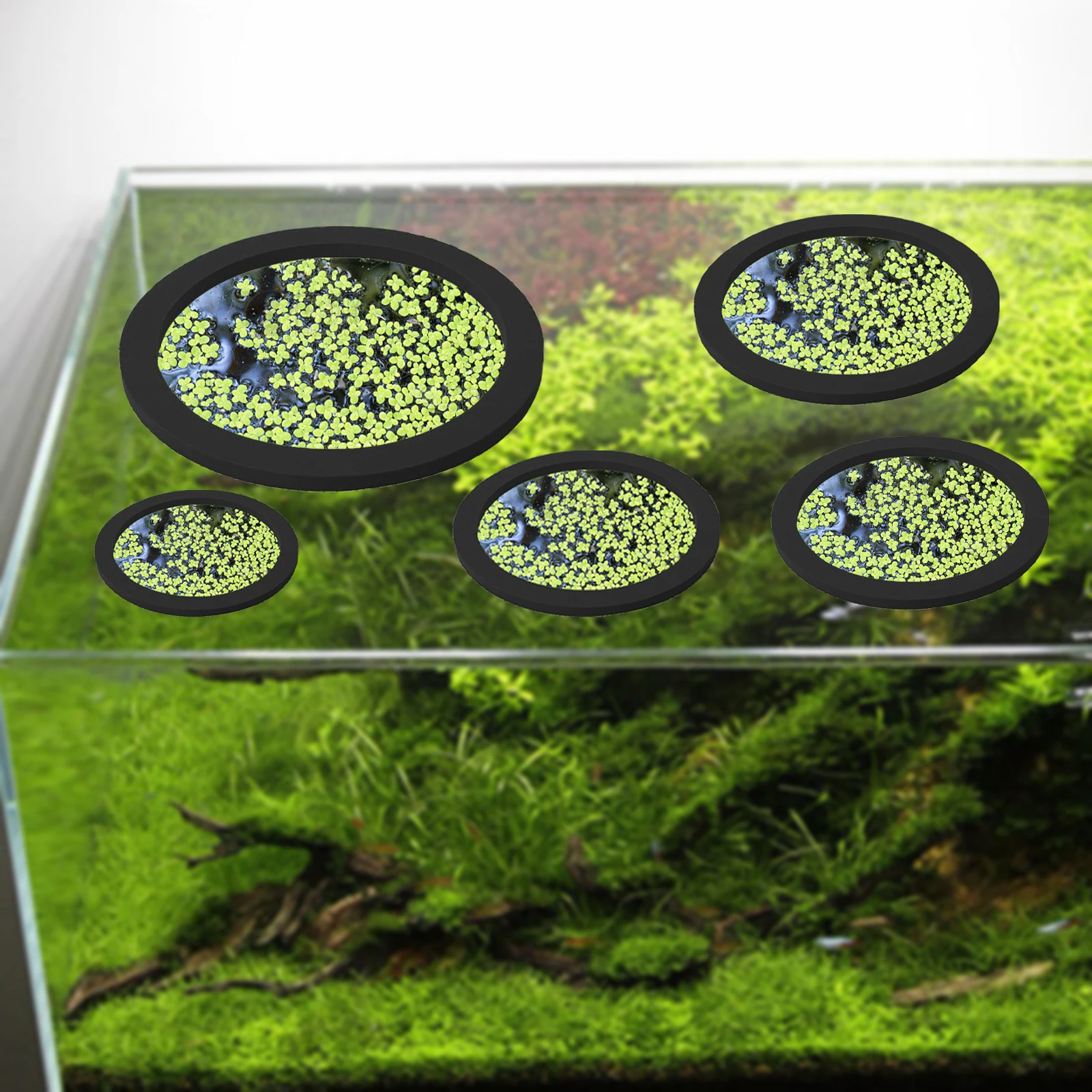 5 uds EVA anillo de alimentaci - Ocean Aquarium reseña y precio
